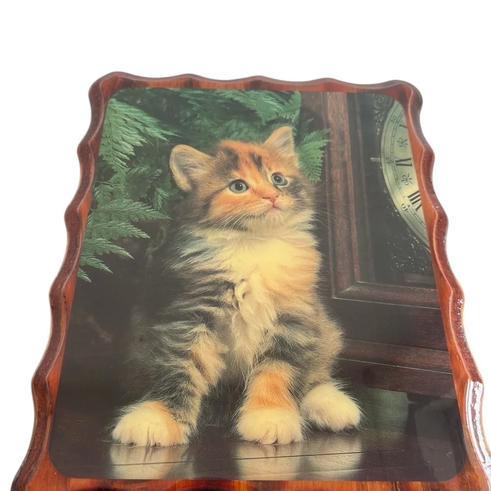 VTG Kitten Picture Lacquered Mounted Decor Calico Cat 9